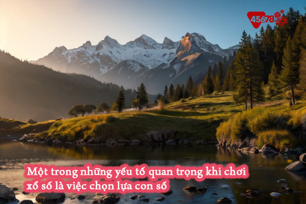 Một trong những yếu tố quan trọng khi chơi xổ số là việc chọn lựa con số